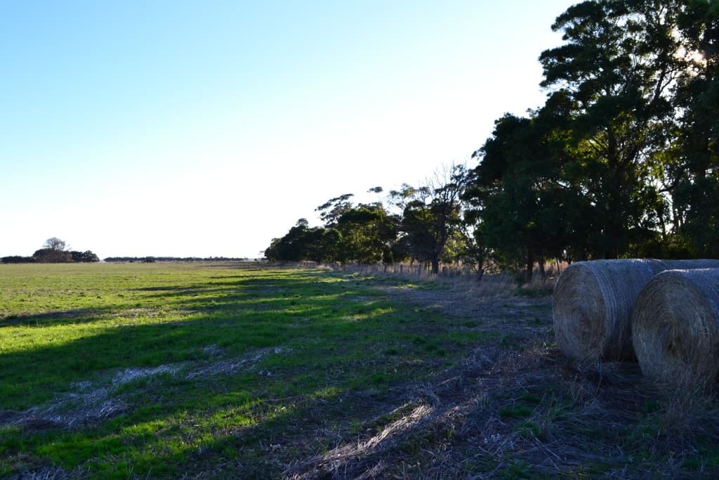 1 Slaughteryard Road, Terang, VIC, Terang - Thumbnail 2