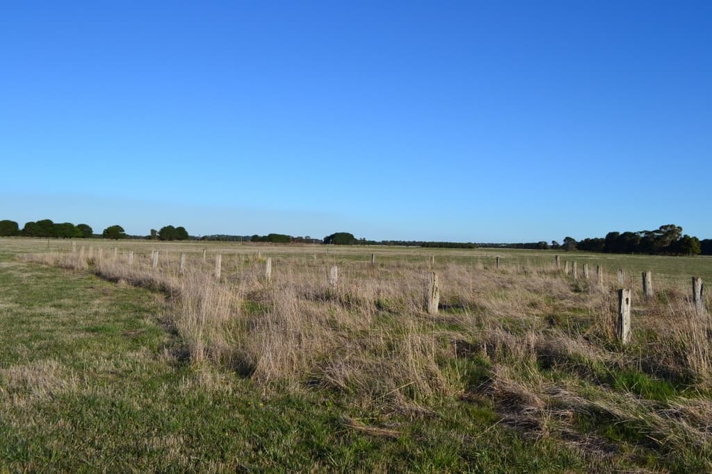 1 Slaughteryard Road, Terang, VIC, Terang - Thumbnail 3