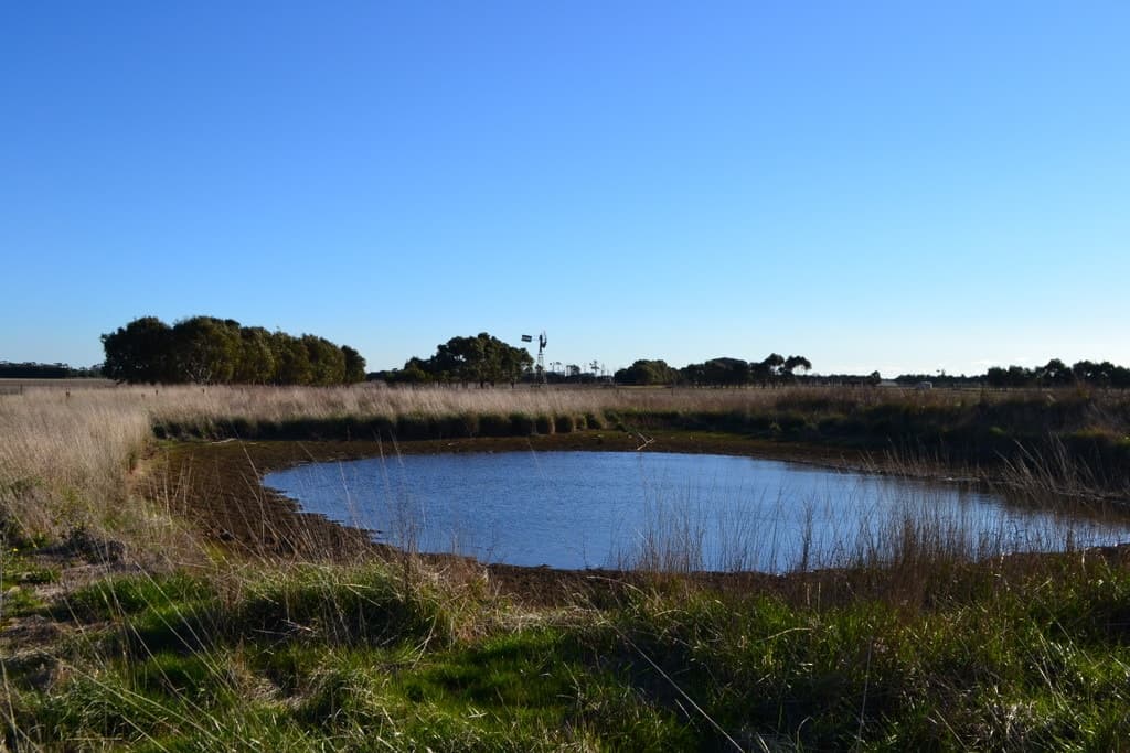 1 Slaughteryard Road, Terang, VIC, Terang - Thumbnail 4