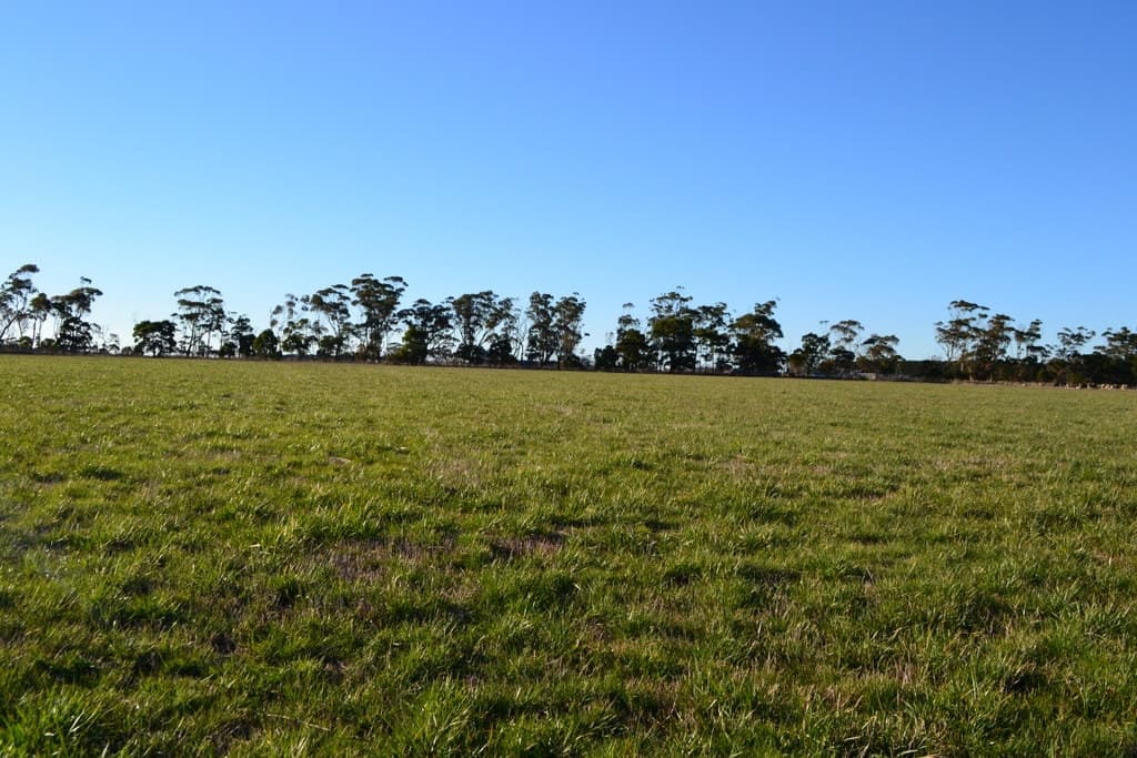 1 Slaughteryard Road, Terang, VIC, Terang - Thumbnail 5