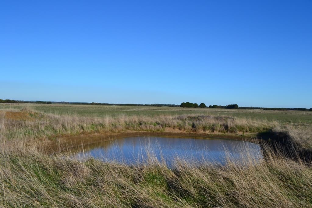 1 Slaughteryard Road, Terang, VIC, Terang - Thumbnail 6