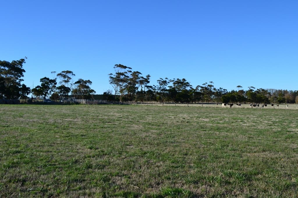 1 Slaughteryard Road, Terang, VIC, Terang - Thumbnail 7