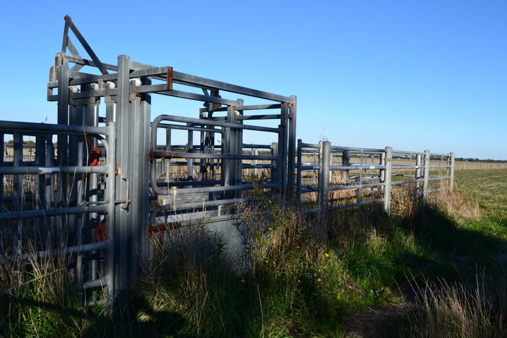 1 Slaughteryard Road, Terang, VIC, Terang - Thumbnail 8