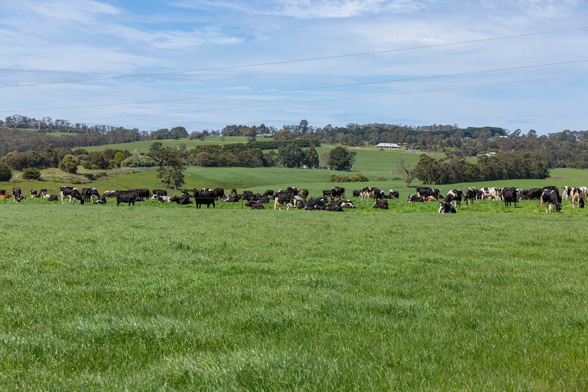 40 Skinners Road, Barongarook West, VIC, Barongarook West - Thumbnail 2