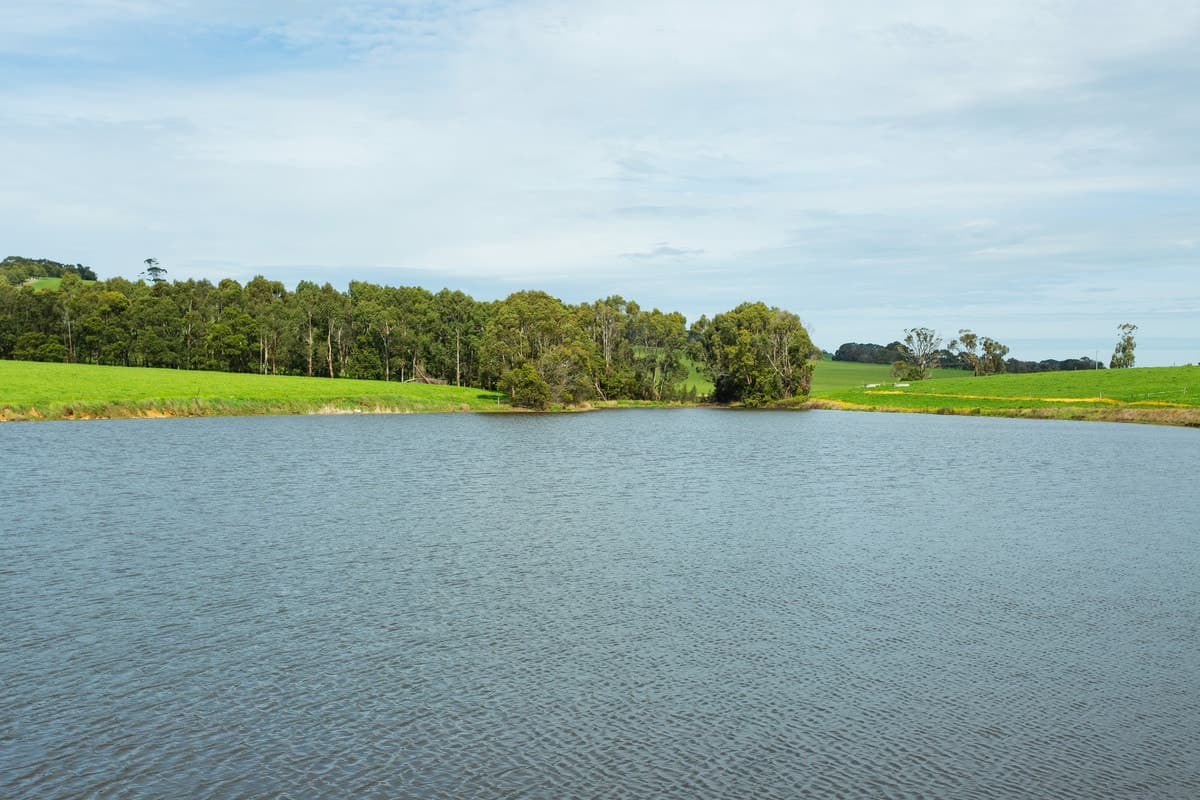 40 Skinners Road, Barongarook West, VIC, Barongarook West - Thumbnail 4