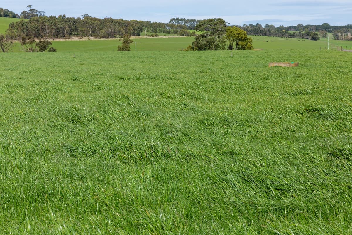 40 Skinners Road, Barongarook West, VIC, Barongarook West - Thumbnail 6