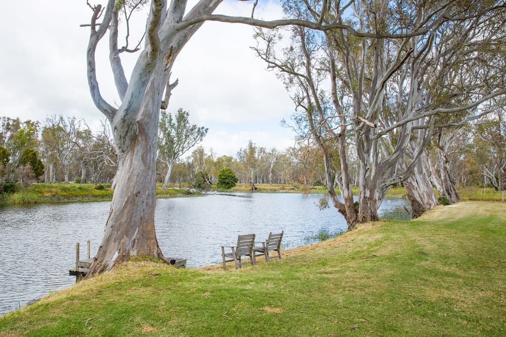 29 Walcott Road, Balmoral, VIC, Balmoral - Thumbnail 3