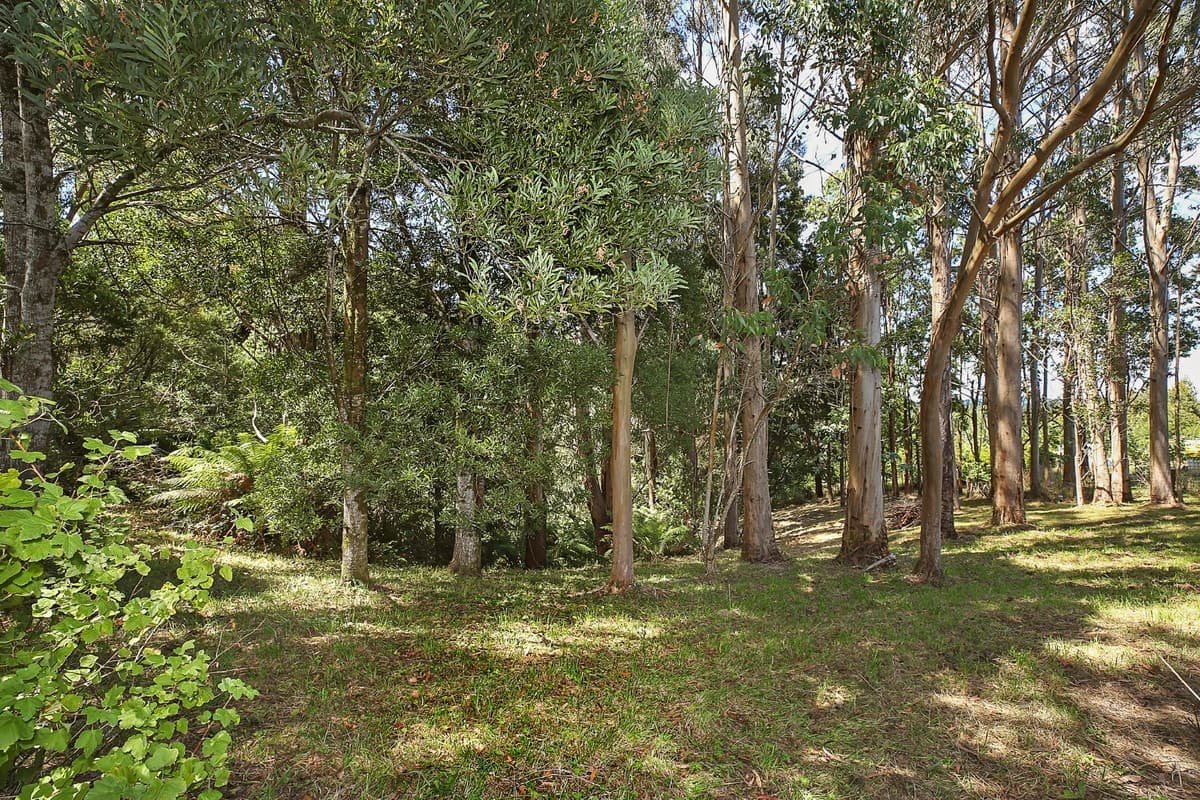 52-54 Old Main Road, Beech Forest, VIC, Beech Forest - Thumbnail 3