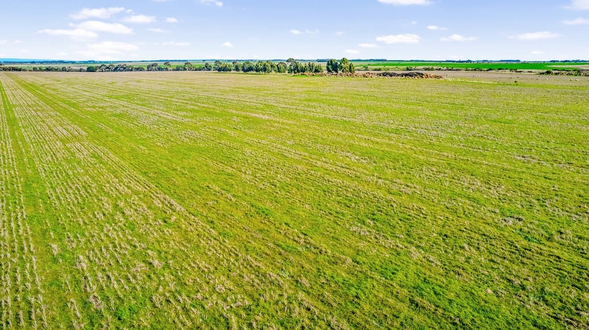 432 Hendersons Road, Meredith, VIC, Meredith - Thumbnail 6