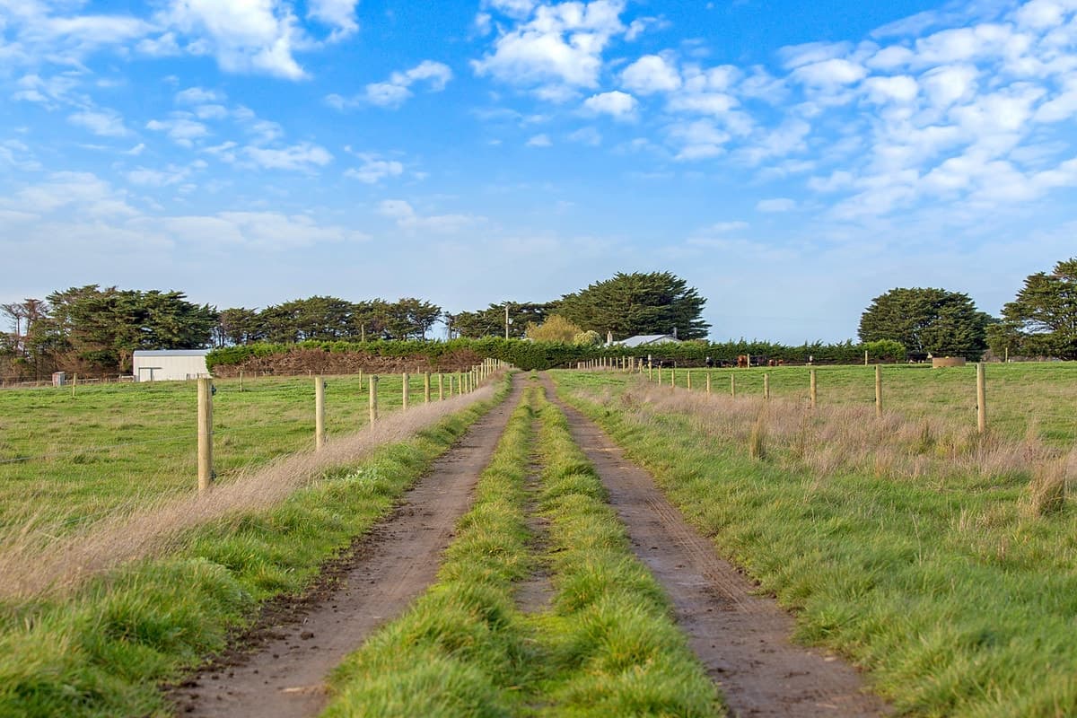 420 Cobden-South Ecklin Road, Elingamite North, VIC, Elingamite North - Thumbnail 2