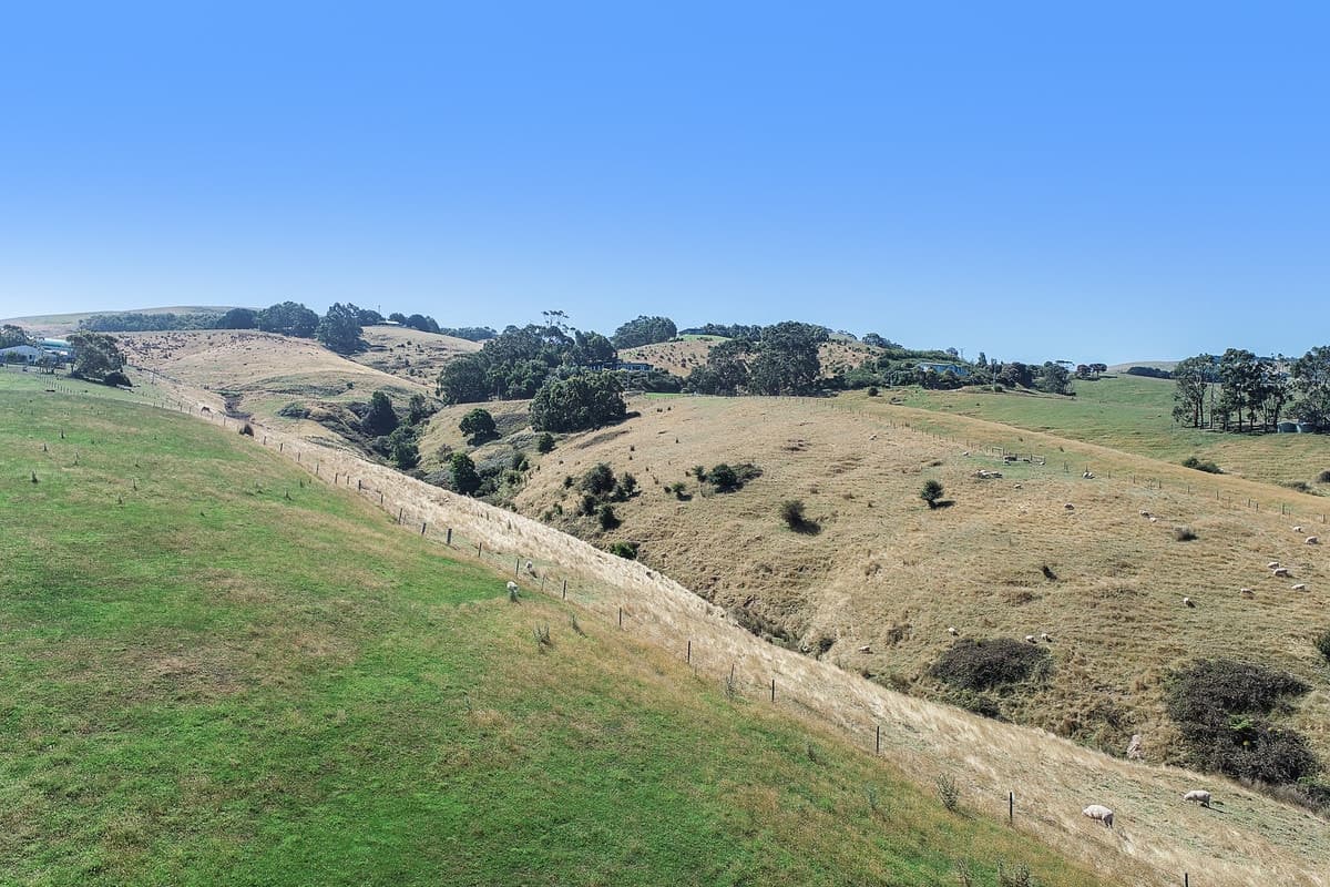 185 Montrose Road, Apollo Bay, VIC, Apollo Bay - Thumbnail 4