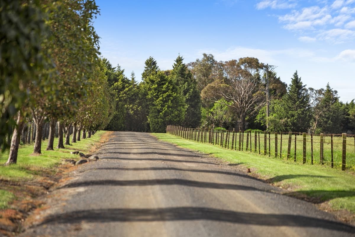 425 Murradoc Road, Drysdale, VIC, Drysdale - Thumbnail 5