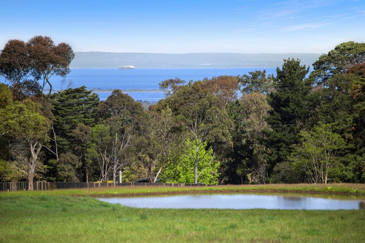 425 Murradoc Road, Drysdale, VIC, Drysdale - Thumbnail 8