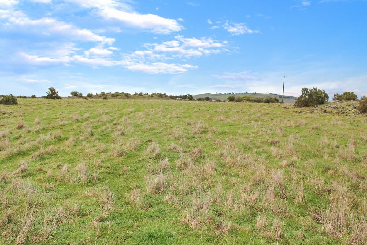 130 Pearlys Road, Dreeite South, VIC, Dreeite South - Thumbnail 2