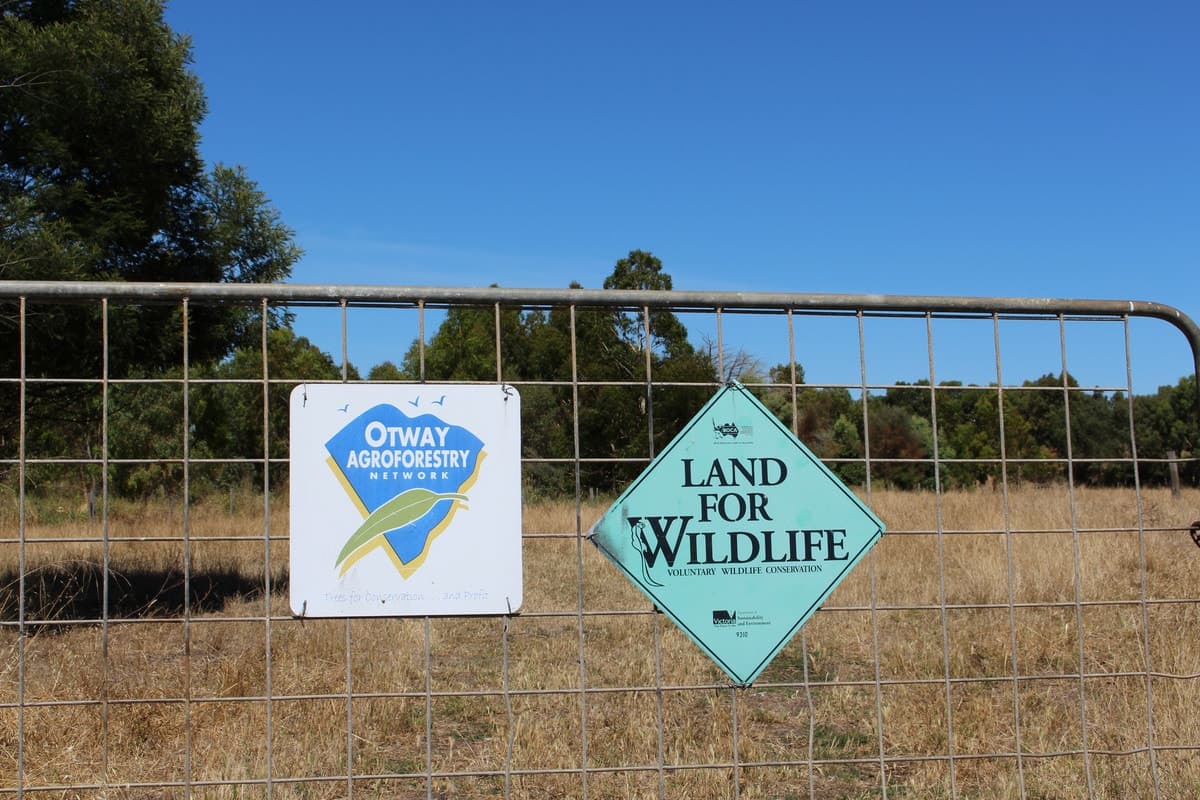 290 Langs James Road, Balintore, VIC, Balintore - Thumbnail 2