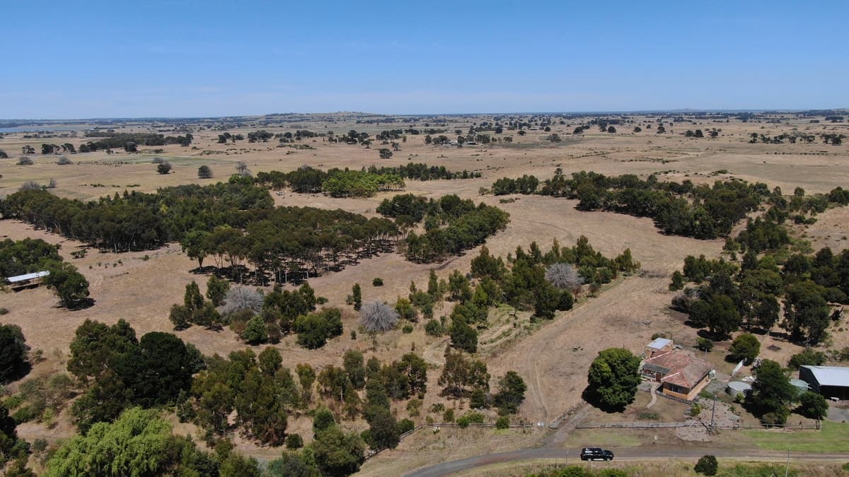 290 Langs James Road, Balintore, VIC, Balintore - Thumbnail 3