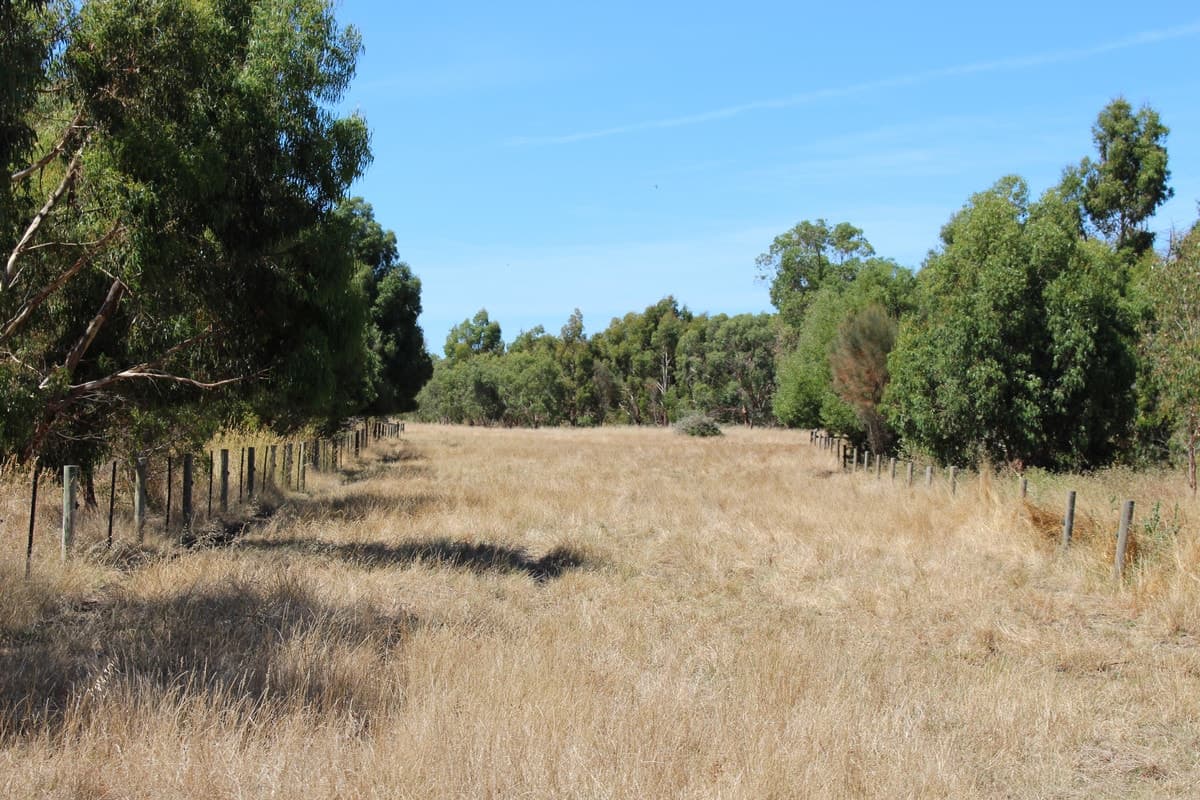 290 Langs James Road, Balintore, VIC, Balintore - Thumbnail 4