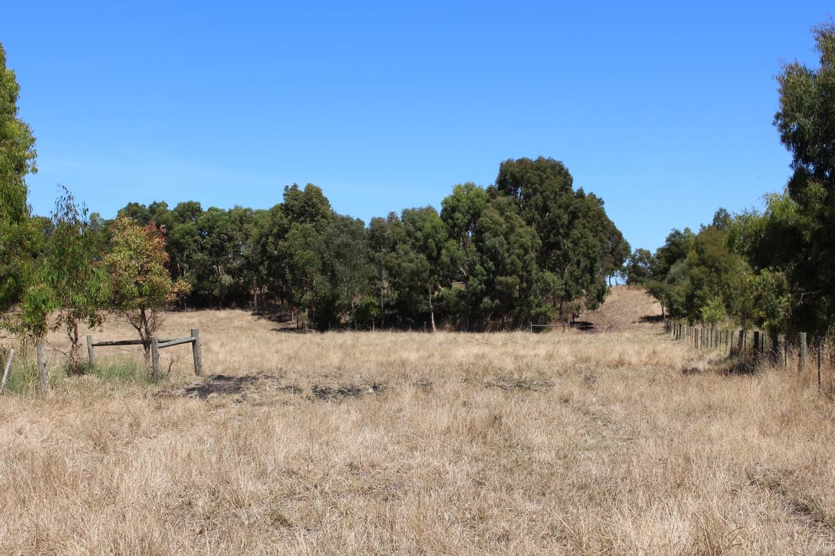 290 Langs James Road, Balintore, VIC, Balintore - Thumbnail 6