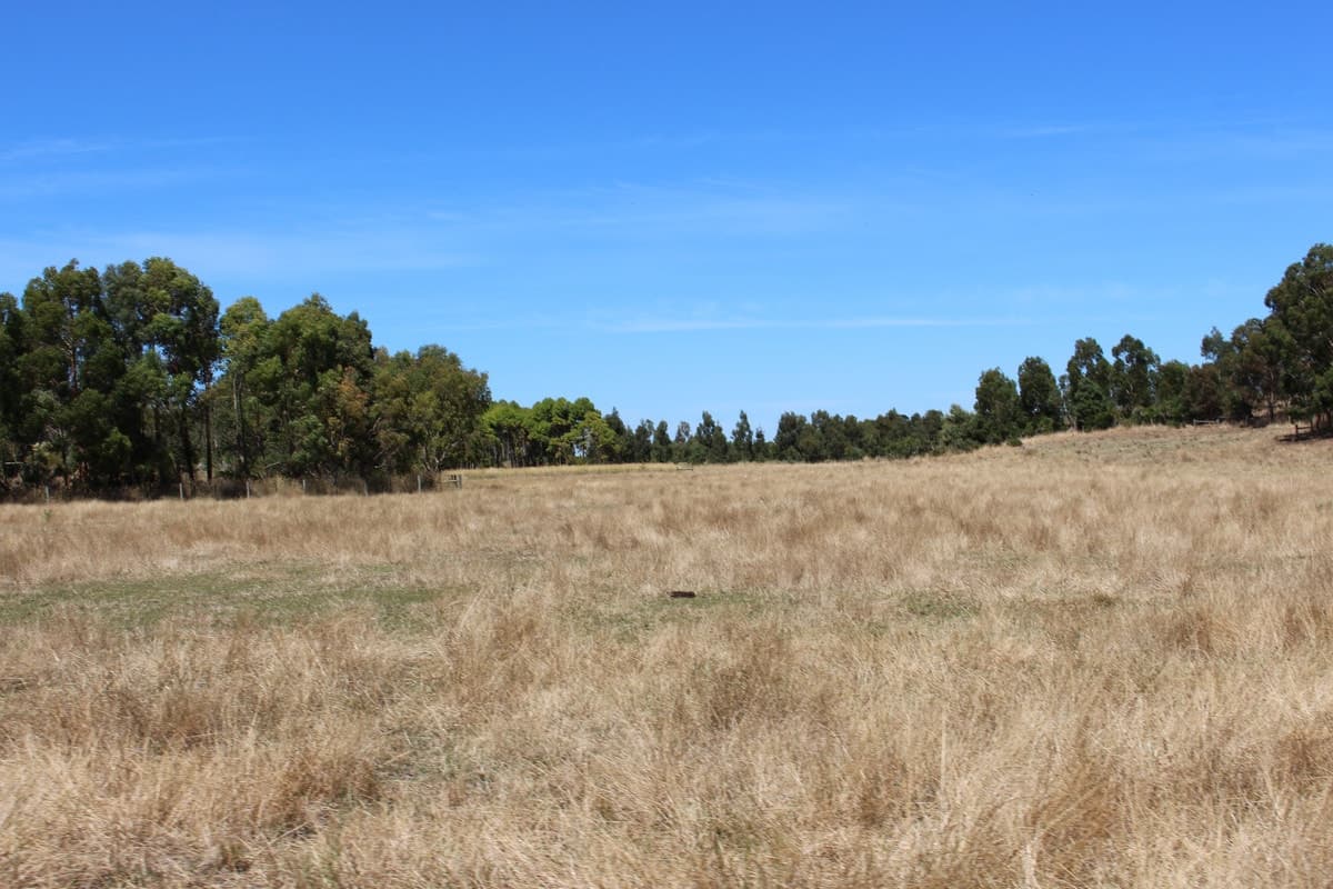 290 Langs James Road, Balintore, VIC, Balintore - Thumbnail 8