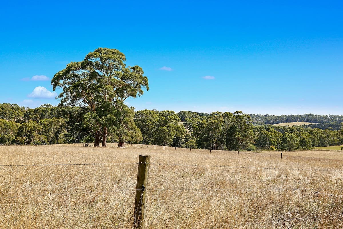140 Barrys Road, Barongarook West, VIC, Barongarook West - Thumbnail 3
