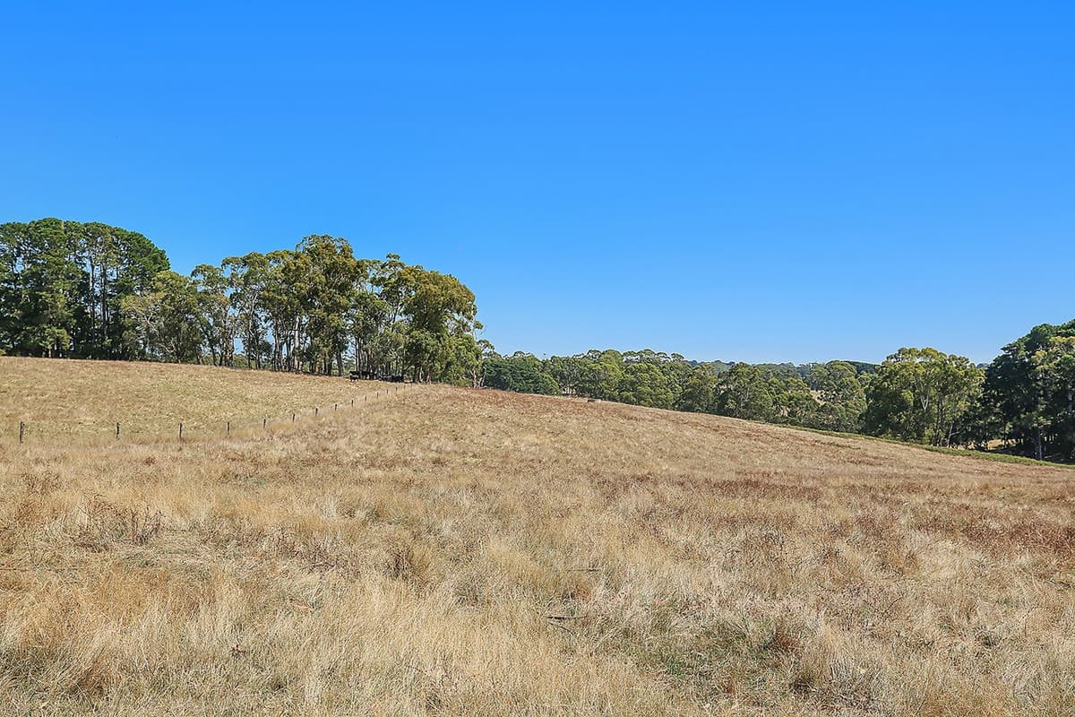 140 Barrys Road, Barongarook West, VIC, Barongarook West - Thumbnail 8