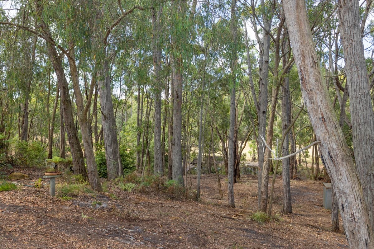 25 McDonalds Access, Gellibrand, VIC, Gellibrand - Thumbnail 6
