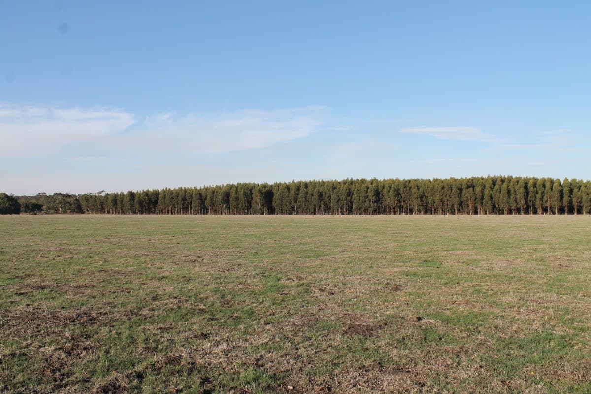 260 Swan Marsh-Stonyford Road, Pirron Yallock, VIC, Pirron Yallock - Image 1