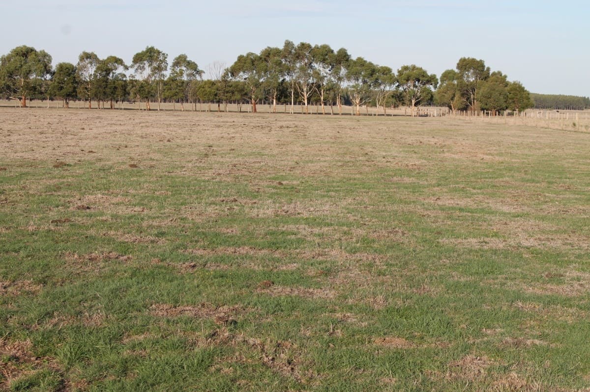 260 Swan Marsh-Stonyford Road, Pirron Yallock, VIC, Pirron Yallock - Thumbnail 3