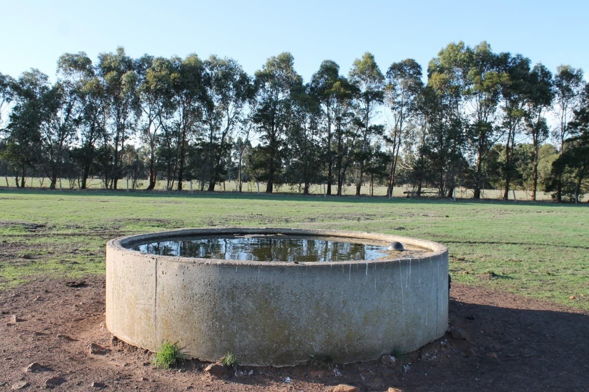 260 Swan Marsh-Stonyford Road, Pirron Yallock, VIC, Pirron Yallock - Thumbnail 4