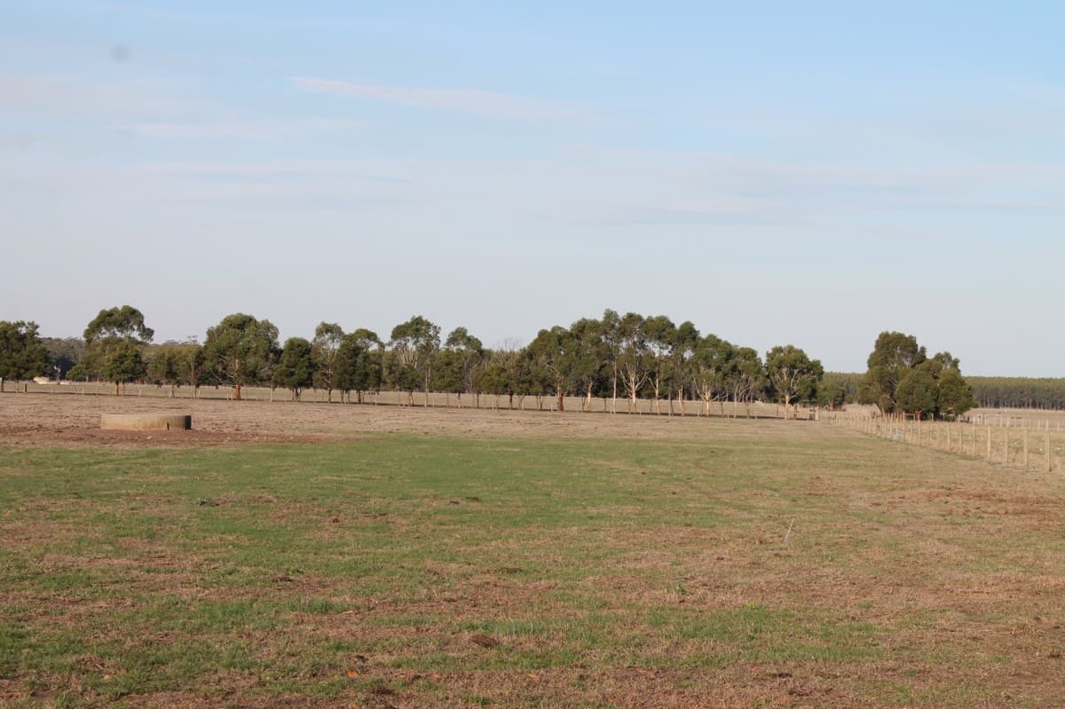 260 Swan Marsh-Stonyford Road, Pirron Yallock, VIC, Pirron Yallock - Thumbnail 5