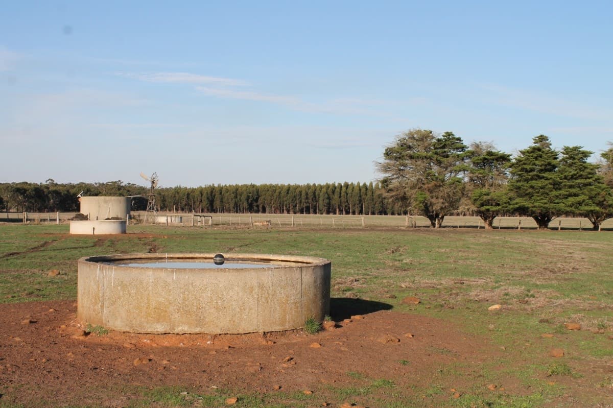 260 Swan Marsh-Stonyford Road, Pirron Yallock, VIC, Pirron Yallock - Thumbnail 6