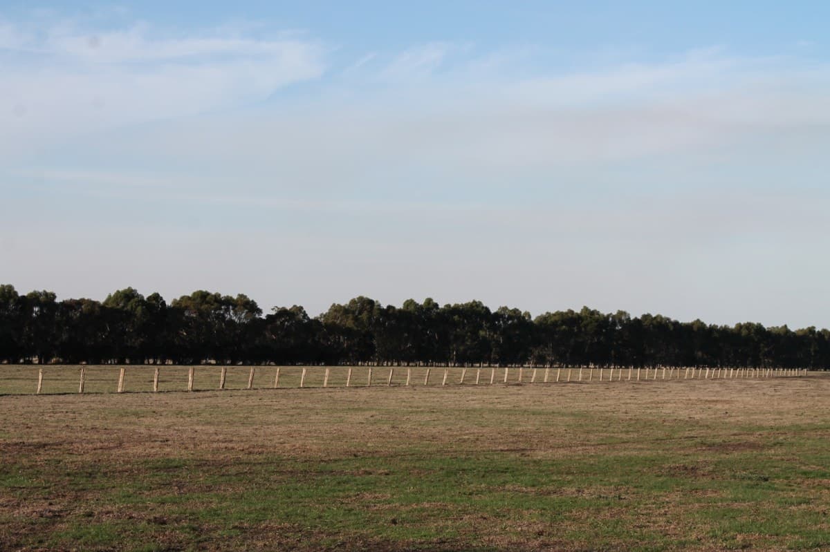 260 Swan Marsh-Stonyford Road, Pirron Yallock, VIC, Pirron Yallock - Thumbnail 7