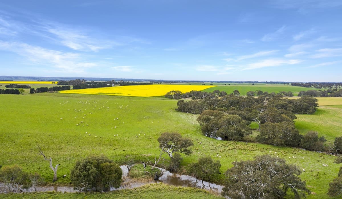 1110 Pitfield-Cressy Road, Werneth, VIC, Werneth - Image 1