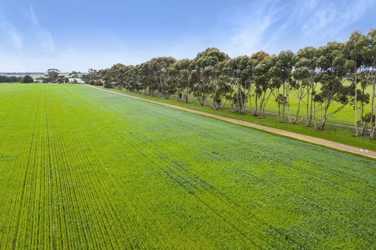 1110 Pitfield-Cressy Road, Werneth, VIC, Werneth - Thumbnail 4