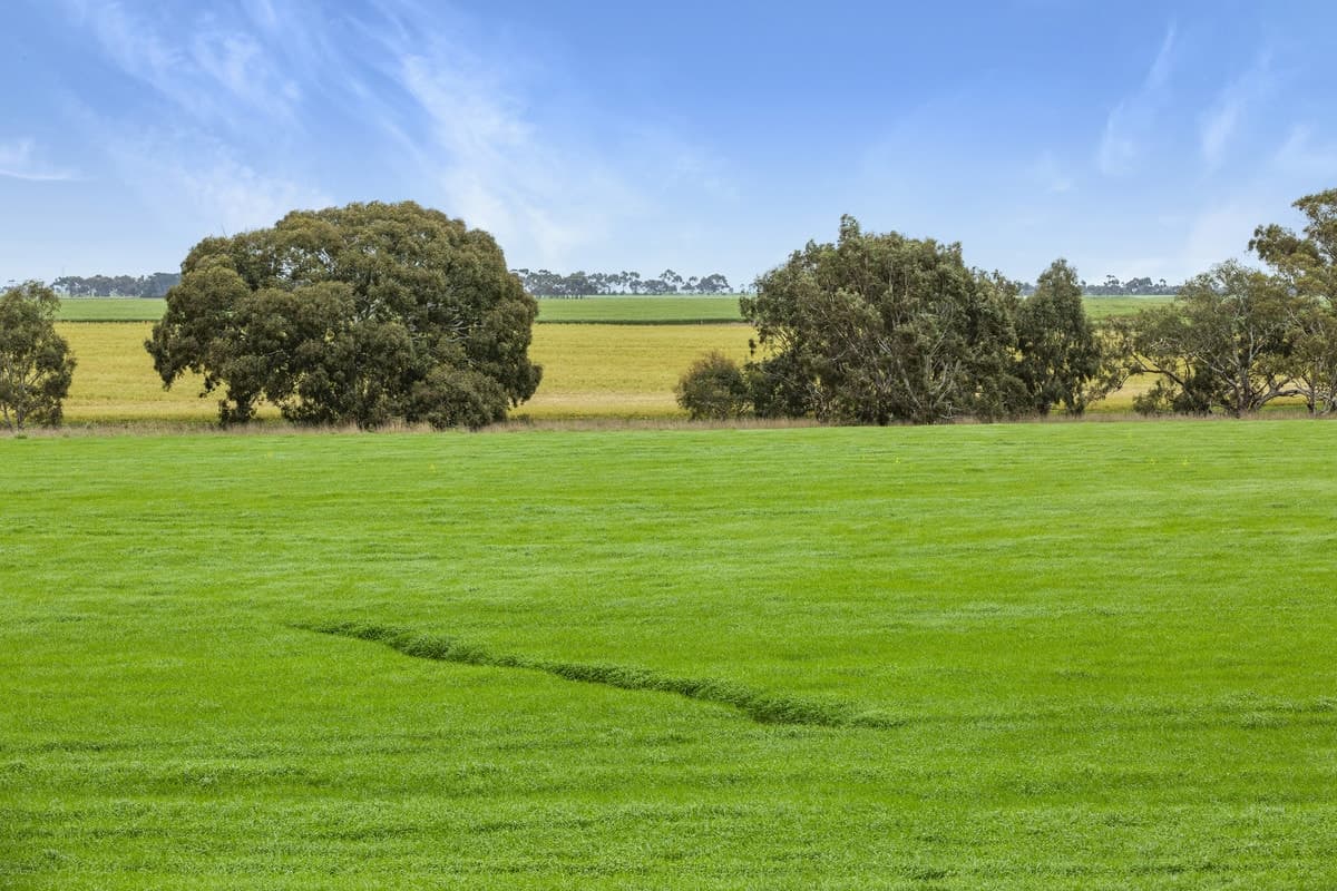 1110 Pitfield-Cressy Road, Werneth, VIC, Werneth - Thumbnail 5