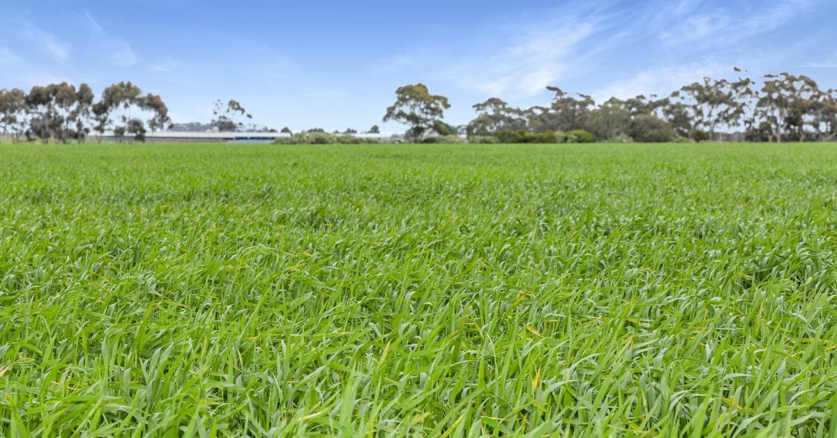 1110 Pitfield-Cressy Road, Werneth, VIC, Werneth - Thumbnail 6
