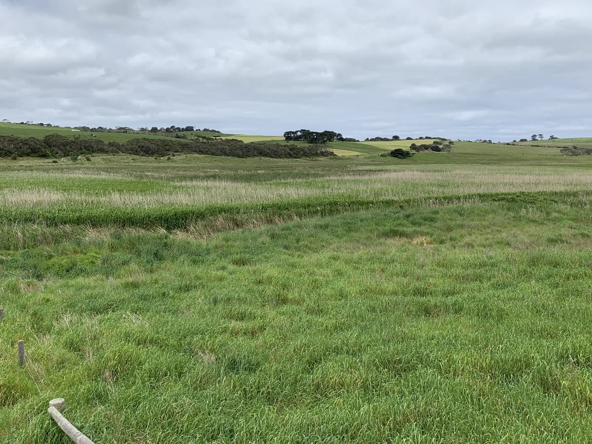14A Fords Access Road, Princetown, VIC, Princetown - Thumbnail 5