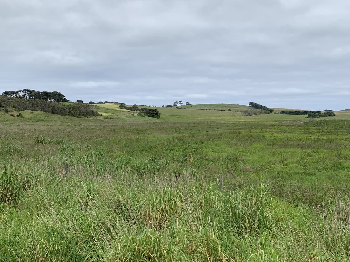 14A Fords Access Road, Princetown, VIC, Princetown - Thumbnail 6