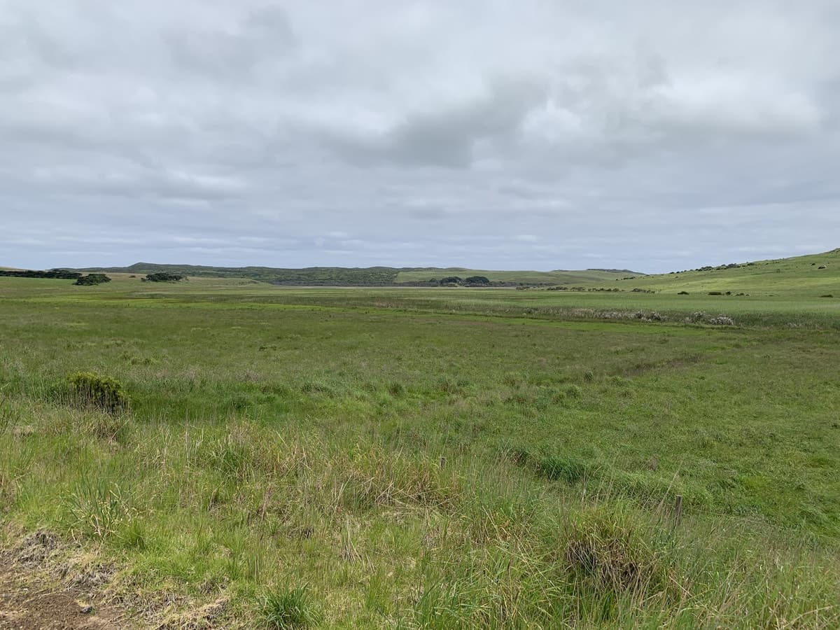 14A Fords Access Road, Princetown, VIC, Princetown - Thumbnail 7