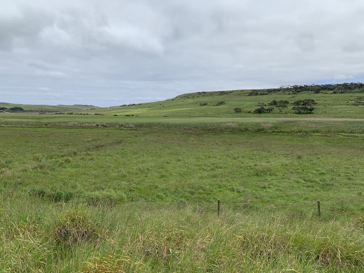 14A Fords Access Road, Princetown, VIC, Princetown - Thumbnail 8