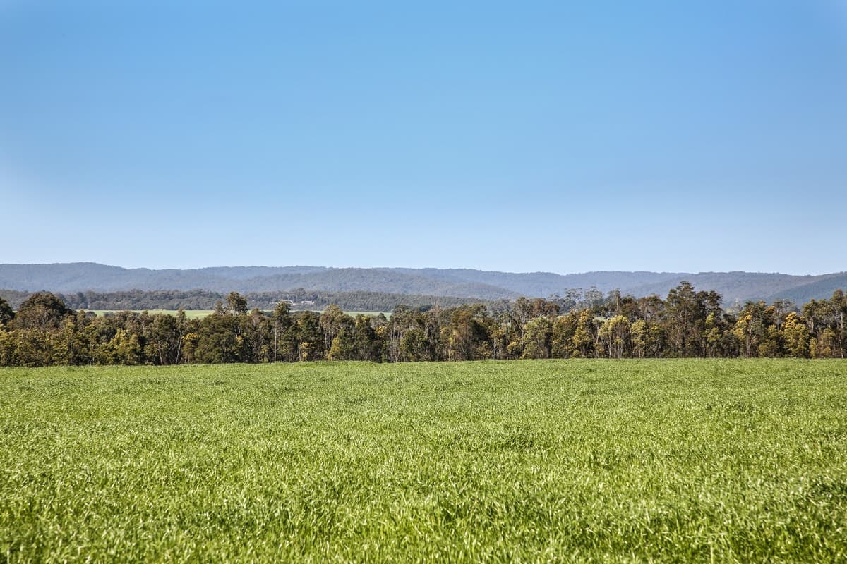 970 Birregurra Deans Marsh Road, Deans Marsh, VIC, Deans Marsh - Thumbnail 2