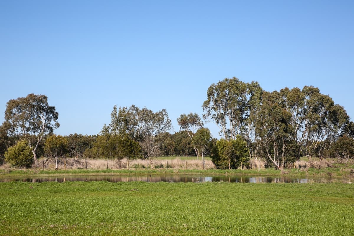 970 Birregurra Deans Marsh Road, Deans Marsh, VIC, Deans Marsh - Thumbnail 4