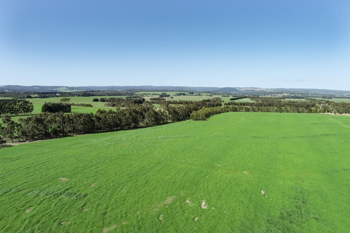 970 Birregurra Deans Marsh Road, Deans Marsh, VIC, Deans Marsh - Thumbnail 5
