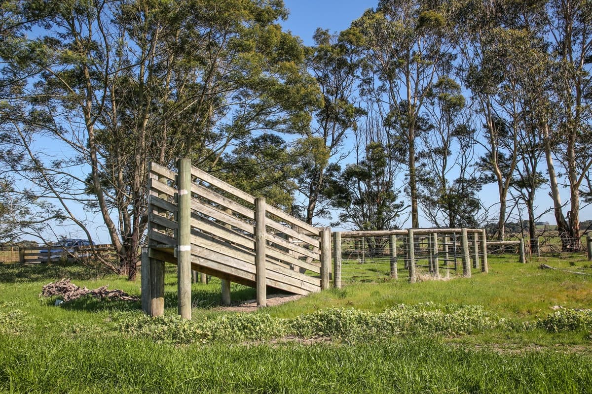 970 Birregurra Deans Marsh Road, Deans Marsh, VIC, Deans Marsh - Thumbnail 6