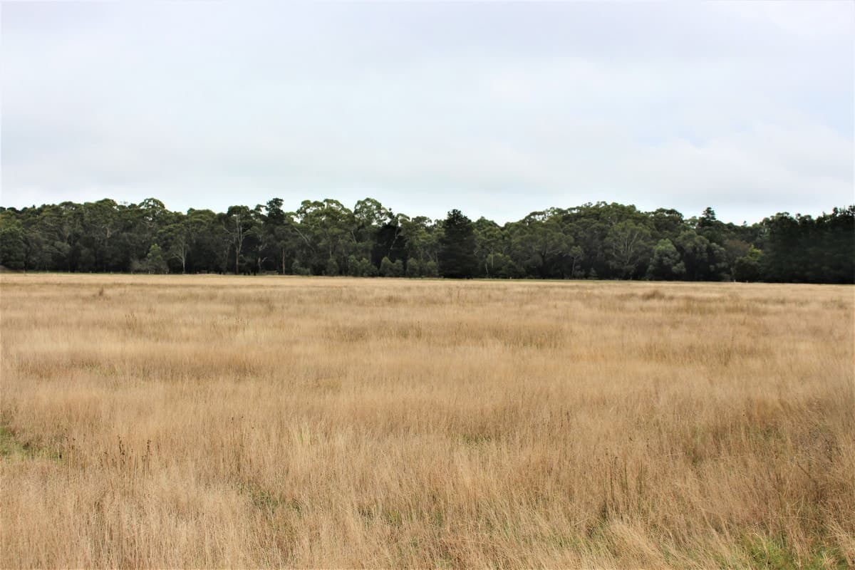 344 Clarendon - Lal lal Road, Lal Lal, VIC, Lal Lal - Thumbnail 8
