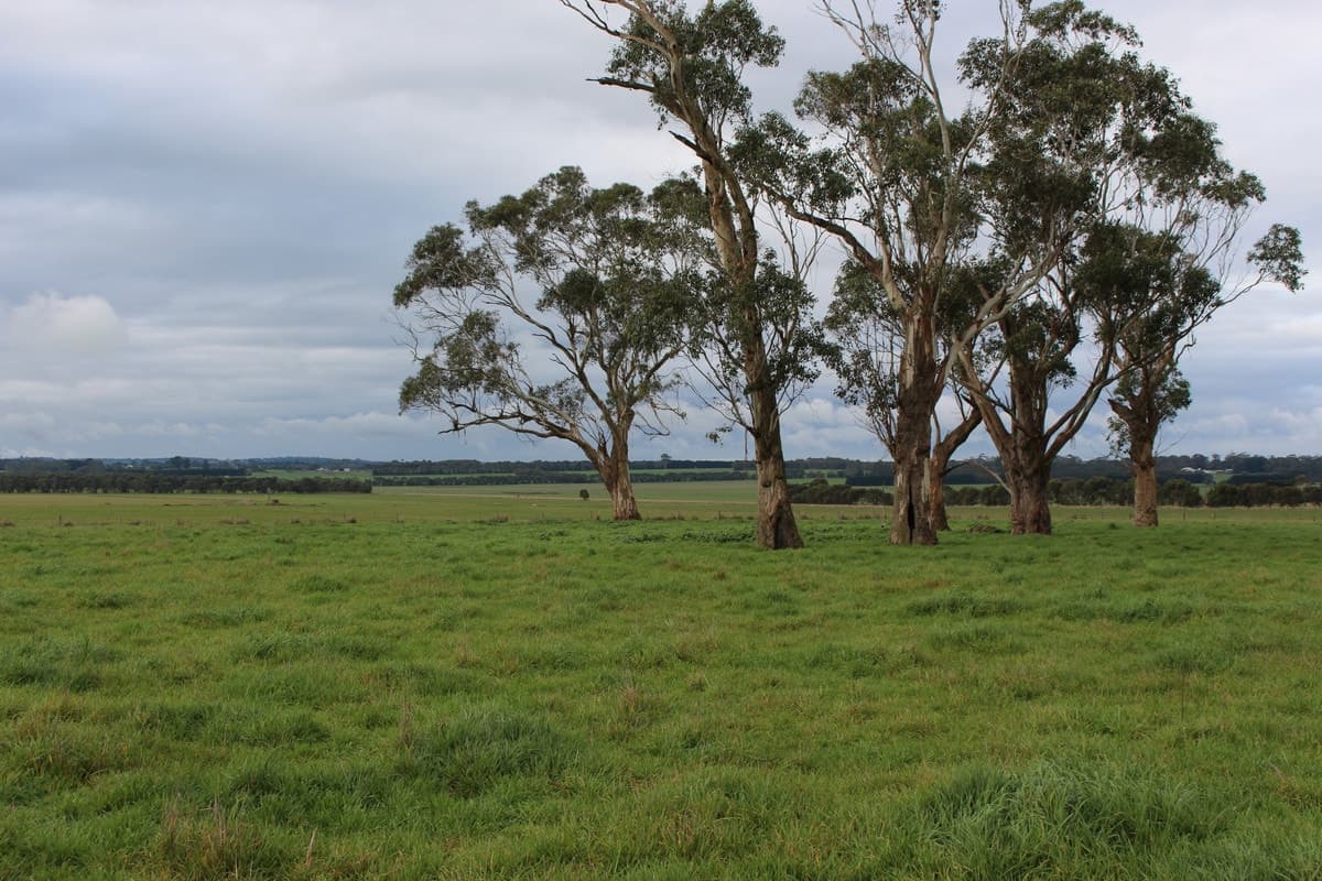 280 Crabbes Road, Irrewillipe, VIC, Irrewillipe - Image 1
