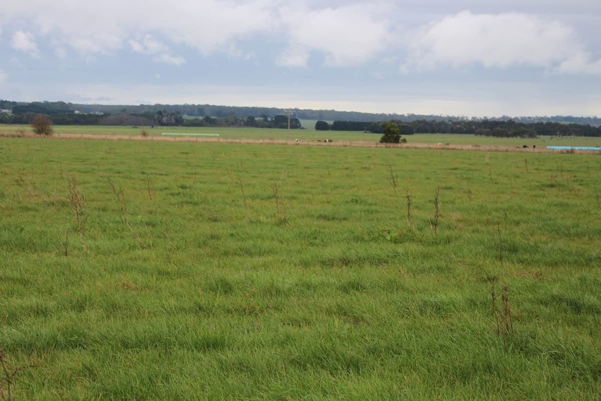 280 Crabbes Road, Irrewillipe, VIC, Irrewillipe - Thumbnail 2