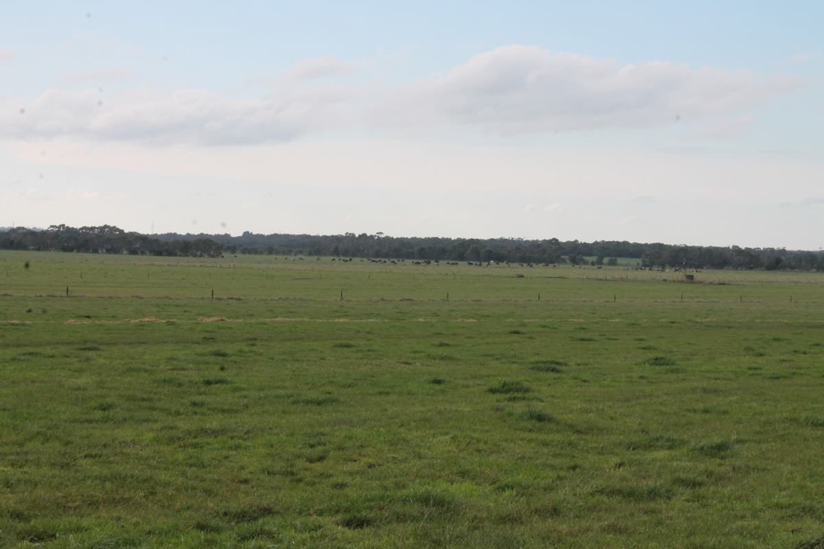 280 Crabbes Road, Irrewillipe, VIC, Irrewillipe - Thumbnail 3