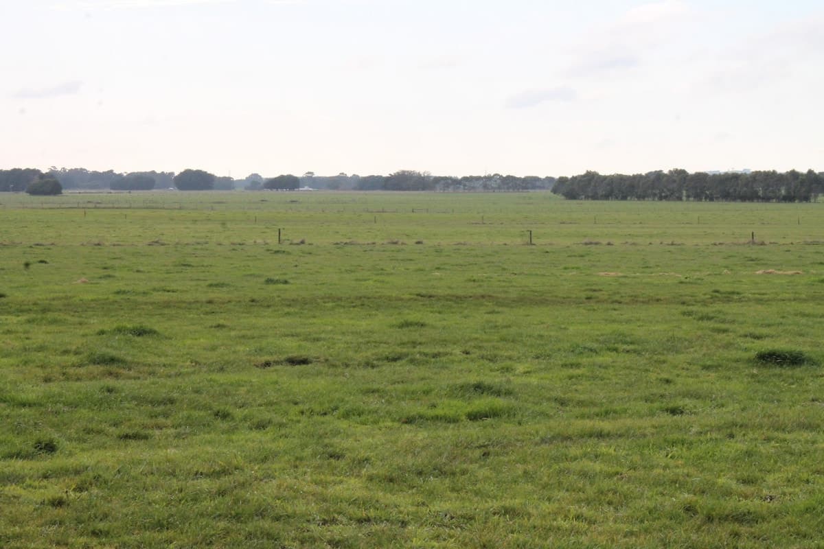 280 Crabbes Road, Irrewillipe, VIC, Irrewillipe - Thumbnail 4