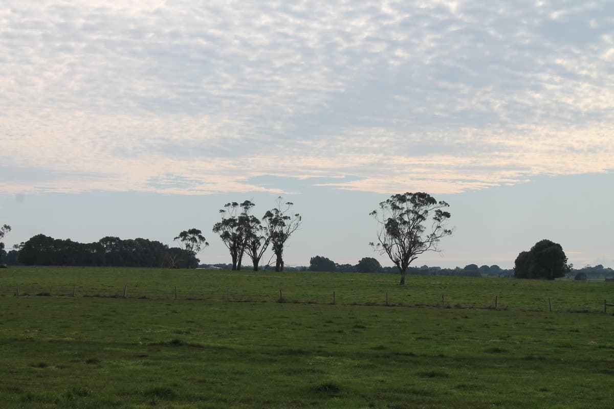280 Crabbes Road, Irrewillipe, VIC, Irrewillipe - Thumbnail 5